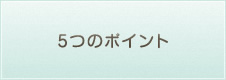 5つのポイント